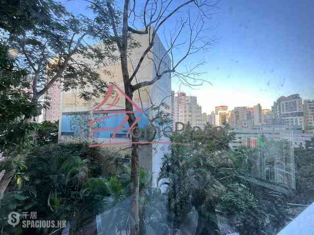 西营盘 - 高街1C号 11