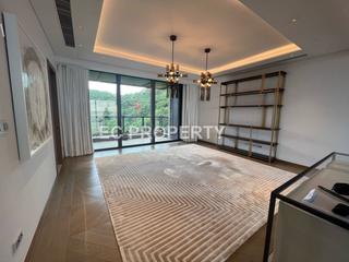 Stubbs Road - Mount Nicholson 04
