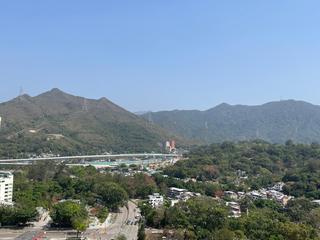 粉岭 - 花都广场5座 12