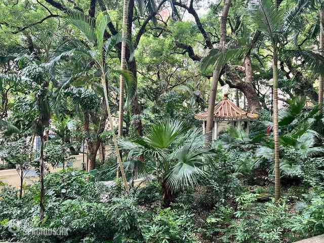 Mid Levels West - Hoover Mansion 13