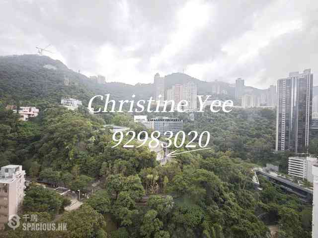 Wan Chai - Star Crest 03