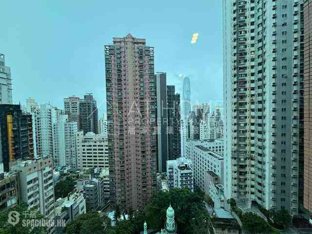 Mid Levels Central - Peach Blossom 09