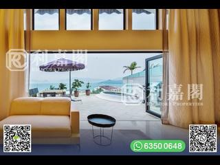 清水灣 - 泰湖別墅 07