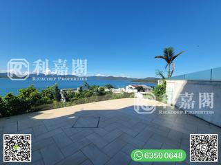 清水灣 - 泰湖別墅 10