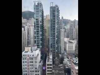 西营盘 - 高乐花园 10