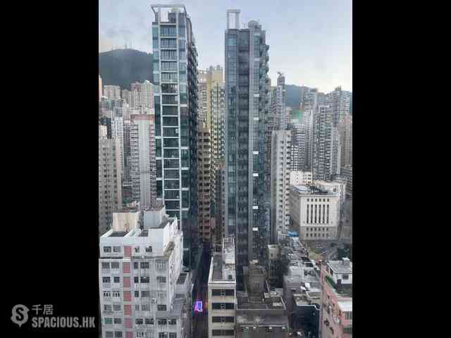 西营盘 - 高乐花园 10