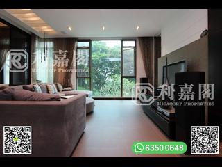 清水灣 - 柏濤灣 04
