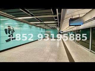 坚尼地城 - 泓都1座 02