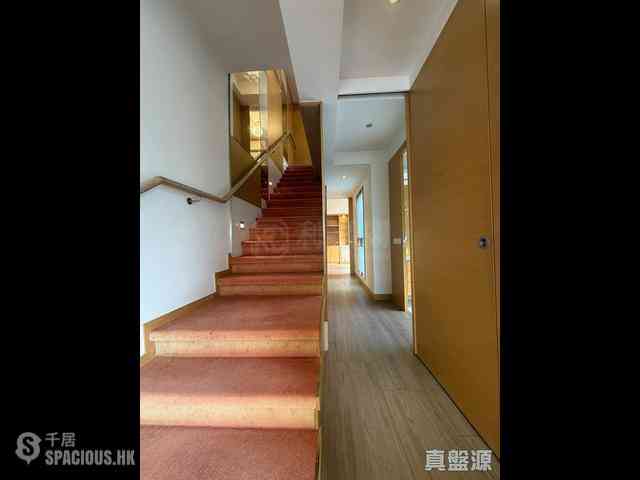 大坑 - 上林 03