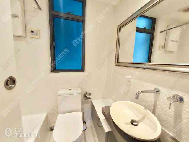 Mid Levels Central - Palatial Crest 20