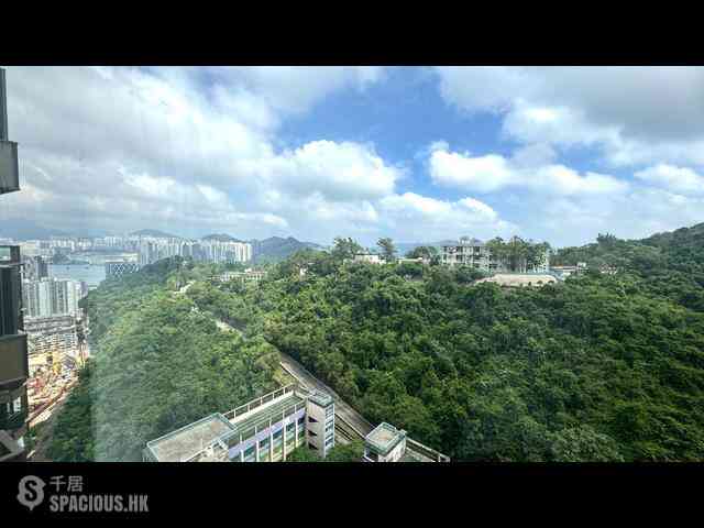 Shau Kei Wan - Island Garden Block 2 02