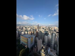 佐敦 - Grand Austin 3A座 07