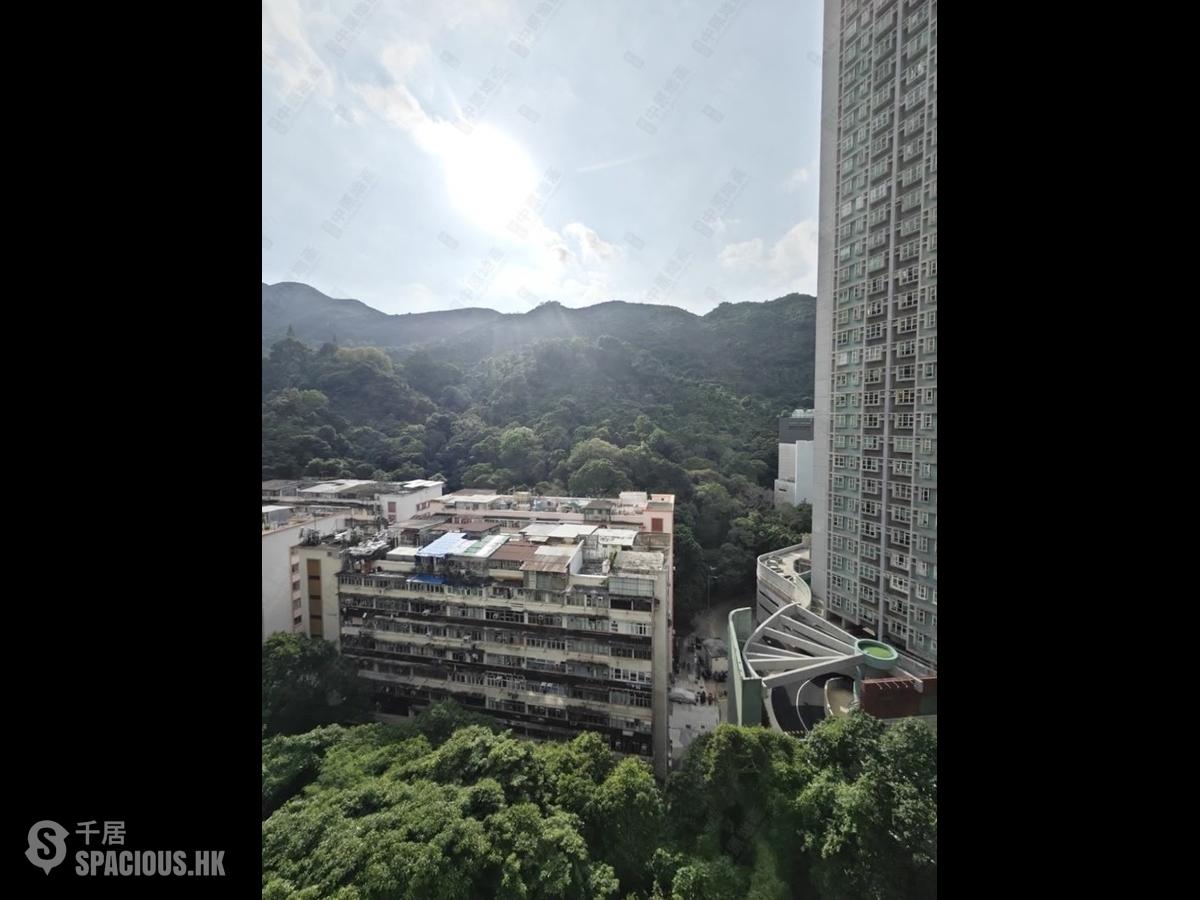 Quarry Bay - Nan Fung Sun Chuen Block 1 01