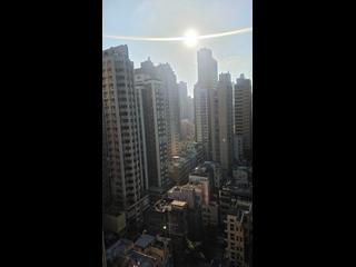 Sai Ying Pun - The Met. Sublime 09