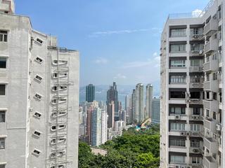 Pok Fu Lam - Y.Y. Mansions Block D 02