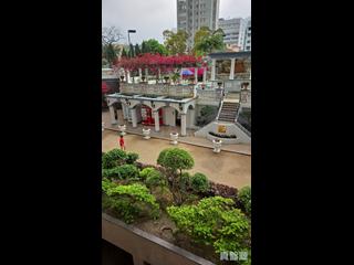 油麻地 - 爵士花園 04