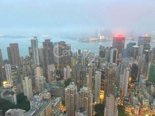 西半山 - 罗便臣道80号 02