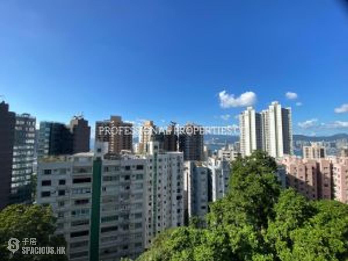 西半山 - 年豐園 01