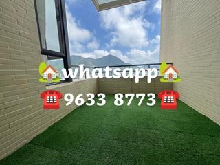 浅水湾 - 璧池 18