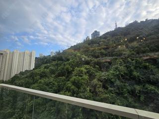 東半山 - 康德居 10