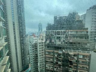 中半山 - 高云台 11