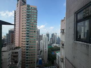 西半山 - 柏苑 10