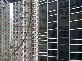Wan Chai - Cactus Mansion 07