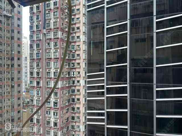 Wan Chai - Cactus Mansion 07
