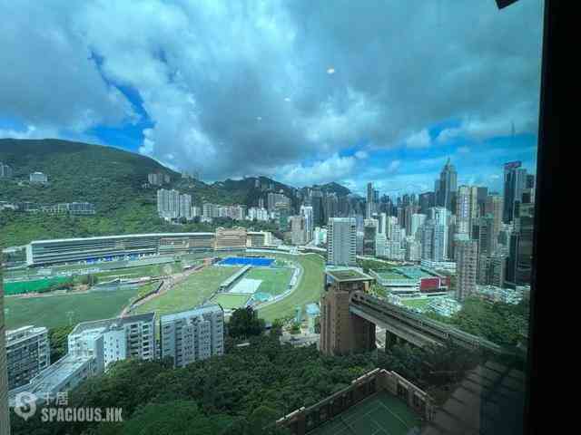 禮頓山 - 禮頓山 01