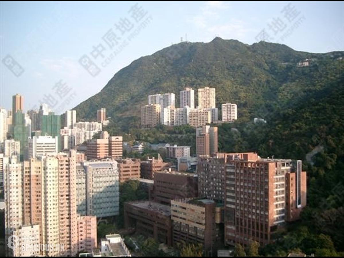 Shek Tong Tsui - The Belcher's 01