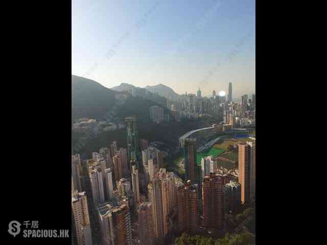 跑马地 - 柏乐苑 04