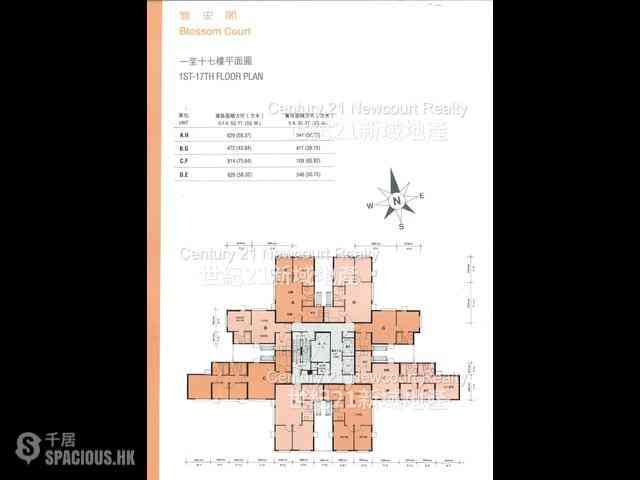 Discovery Bay - Discovery Bay Phase 4 Peninsula Village Capeland Drive Blossom Court 03