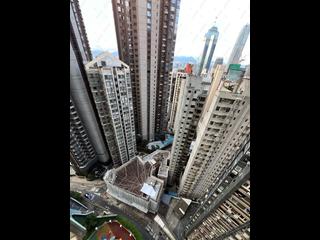 中半山 - 高云台 17