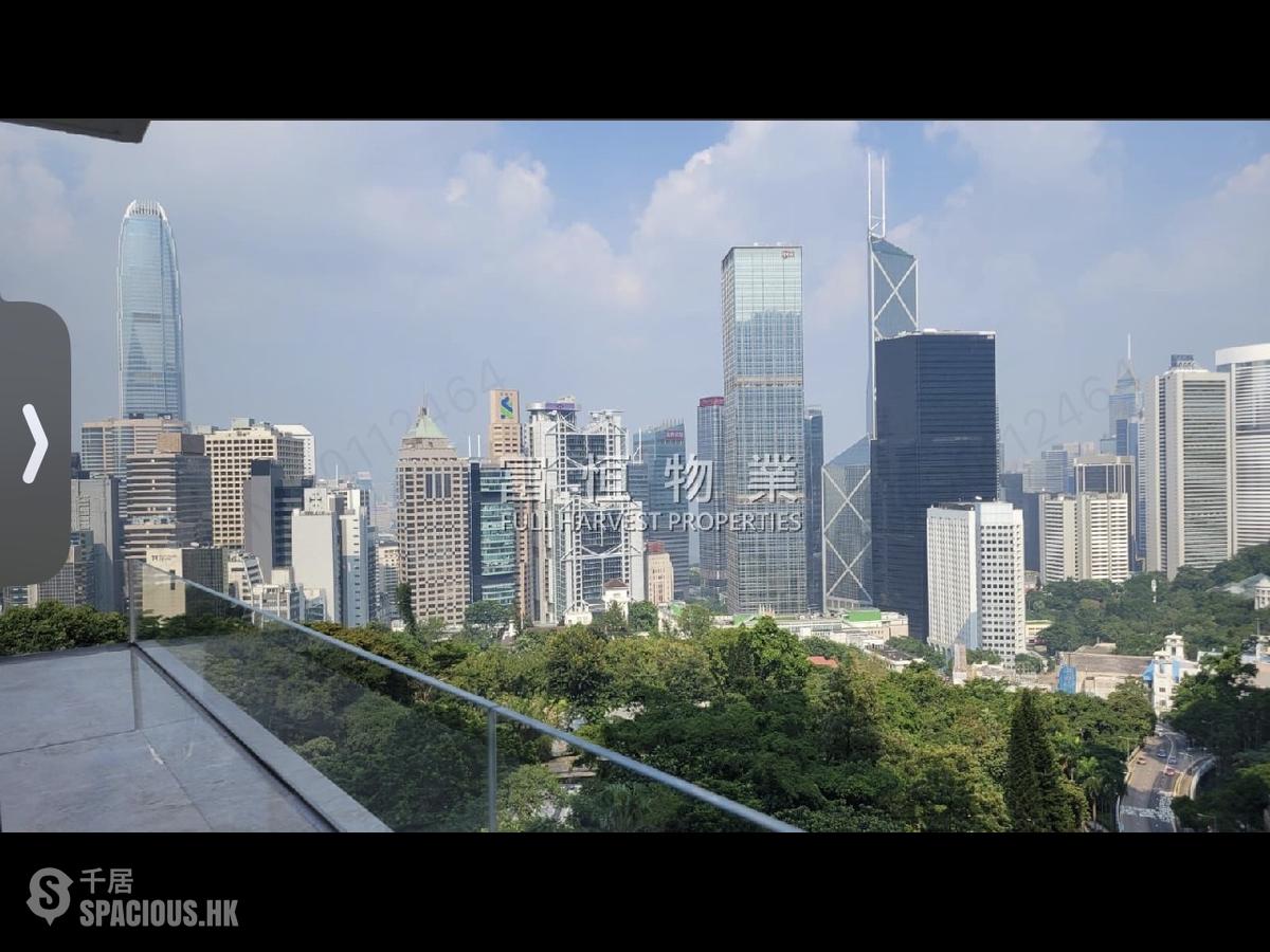中半山 - 羅便臣道1號 01