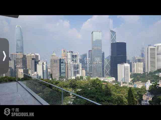 中半山 - 罗便臣道1号 01