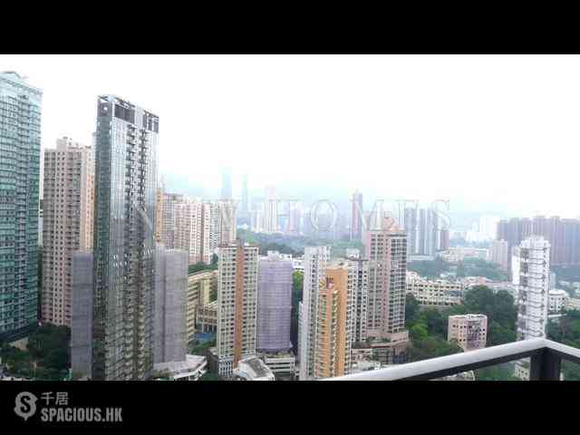 大坑 - 上林 06