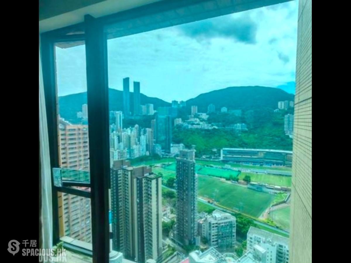 禮頓山 - 禮頓山 01