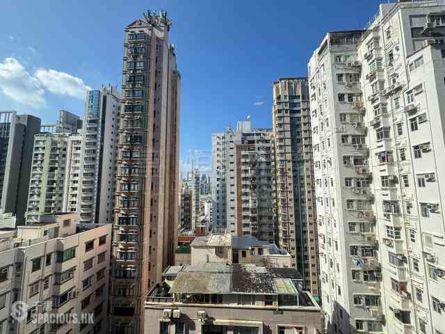 跑马地 - 威利阁 12