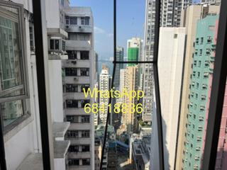 西营盘 - 杨华阁 05