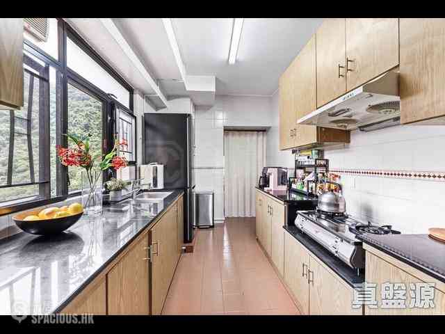 Mid Levels East - Hong Villa 07