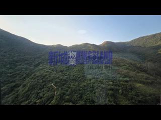 愉景湾 - 愉景湾5期 颐峰 11