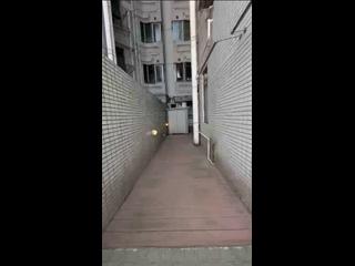 西九龙 - 擎天半岛 10