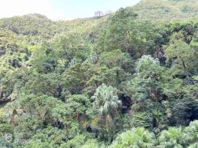 Mid Levels Central - Hillsborough Court 04