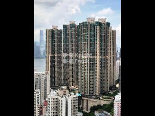 Shek Tong Tsui - The Belcher's 07