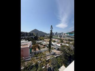 Shouson Hill - Ansaldo 05