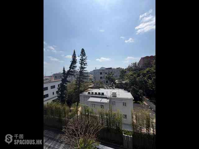 壽臣山 - 南天第 06