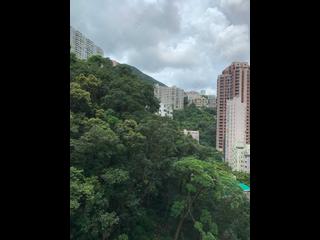 跑马地 - Shan Kwong Towers 03