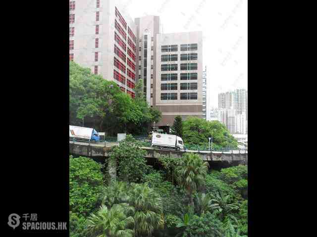西半山 - 精致园 14