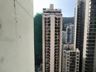 Happy Valley - Sun View Court 07
