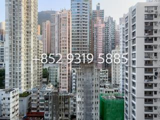 Sai Ying Pun - Island Crest 14